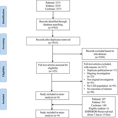 Sodium Glucose Cotransporter Type 2 Inhibitors Improve Cardiorenal Outcome of Patients With Coronary Artery Disease: A Meta-Analysis